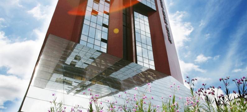 儒万维尔蓝树塔酒店(Blue Tree Towers Joinville)图片