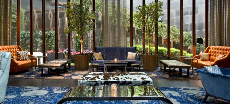 Dream Downtown by Hyatt图片