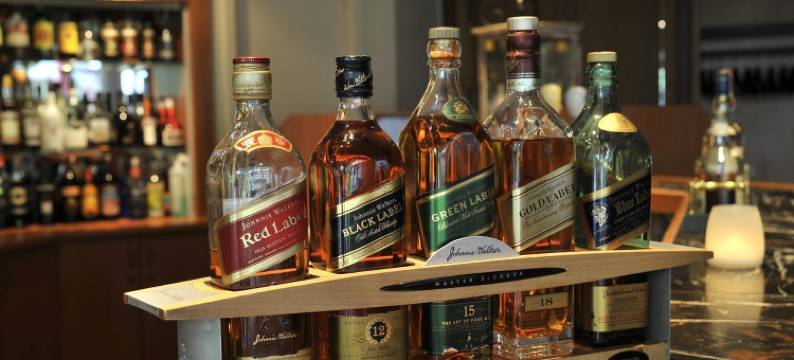 德美第奇金色郁金香酒店(Golden Tulip Hotel de Medici)图片