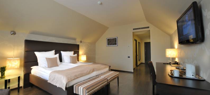 蒂米什瓦拉酒店(Hotel Timisoara)图片