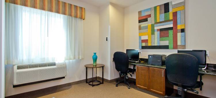 智选假日套房酒店丹佛芮(Holiday Inn Express & Suites Denver East-Peoria Street)图片