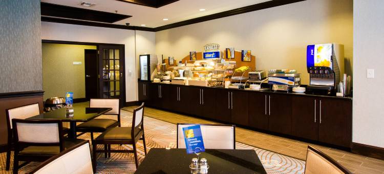 智选假日套房酒店纳科多奇斯(Holiday Inn Express & Suites Nacogdoches)图片