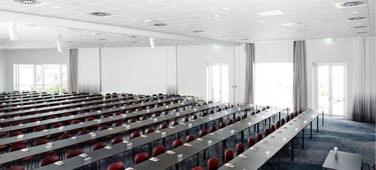 卡姆维尔克胡斯酒店(Comwell Aarhus Dolce by Wyndham)图片