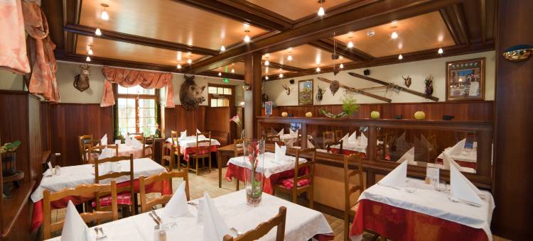 Logis 酒店-餐厅 梅尔巴歇尔客栈(Logis Auberge du Mehrbachel - Hôtel & Restaurant)图片