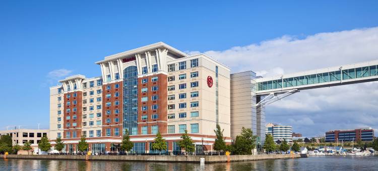 伊利湖区喜来登酒店(Sheraton Erie Bayfront Hotel)图片