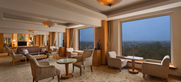 新德里喜来登酒店(Sheraton New Delhi Hotel)图片