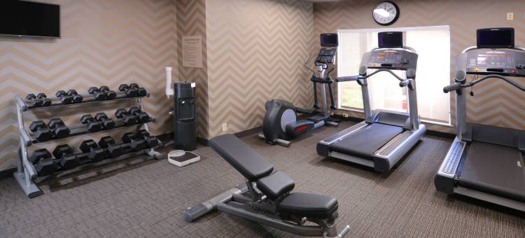 达拉斯医疗市场中心索内斯塔 ES 套房酒店(Sonesta ES Suites Dallas Medical Market Center)图片