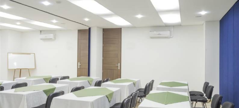 拉菲拉摄政套房酒店(Hotel Regency Suites la Feria)图片