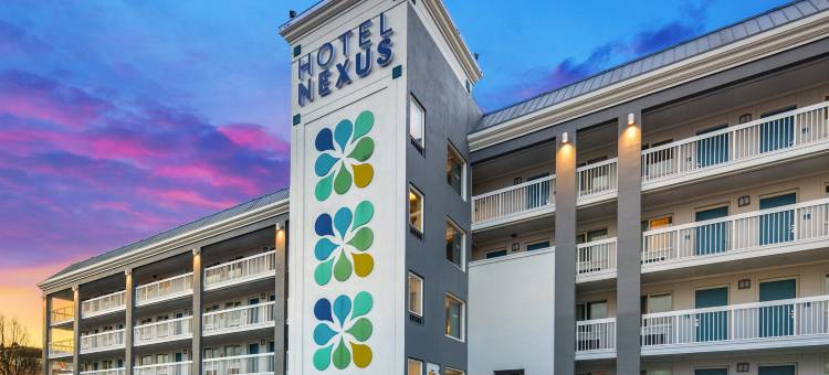 尼克萨斯酒店，贝斯特韦斯特品质精选系列(Hotel Nexus, BW Signature Collection)图片