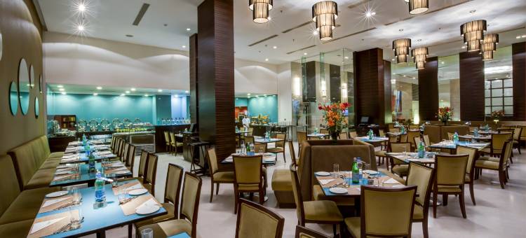 拉妲瑞金特酒店(Radha Regent Electronic City)图片