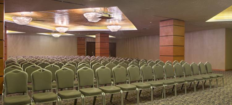 埃尔比勒市中心德德曼酒店(Dedeman Erbil Hotel City Center)图片