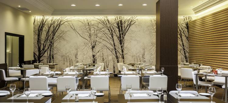 马德里伊鲁尼套房酒店(Ilunion Suites Madrid)图片