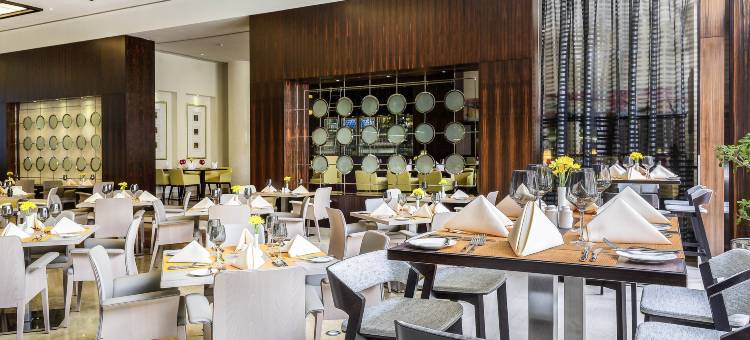 迪拜世贸中心诺富特酒店(Novotel World Trade Centre Dubai)图片