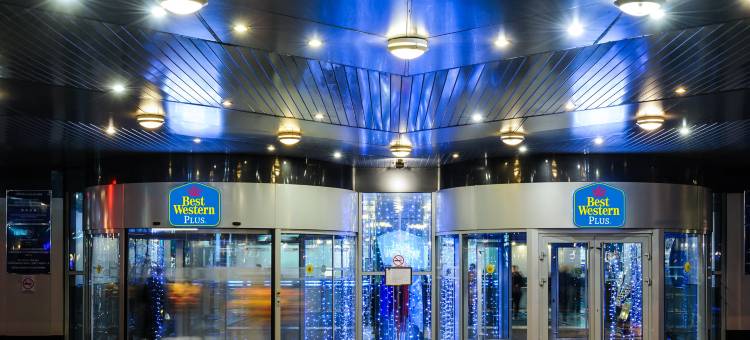 维嘉伊兹麦洛瓦酒店和会议中心(Vega Izmailovo Hotel)图片