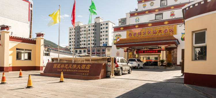 林芝风情大酒店图片