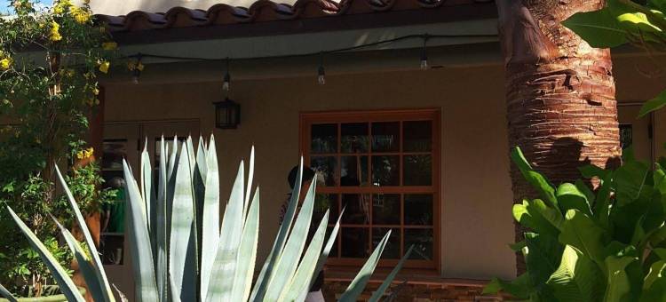 棕榈泉潜水酒店(Dive Palm Springs)图片