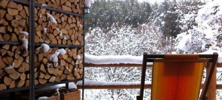 青松小屋酒店(The Green Pine Chalet)图片