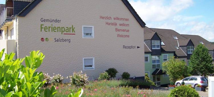 索尔兹伯格穆德弗里恩公园酒店(Gemünder Ferienpark Salzberg)图片