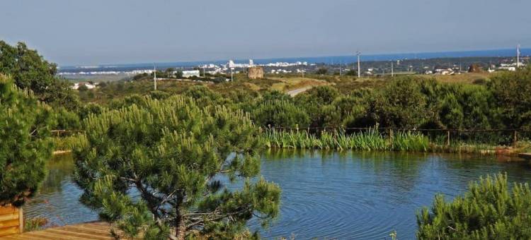 乡村庄园 Vale do Asno(阿斯诺河谷)(Casa de Campo Vale do Asno)图片