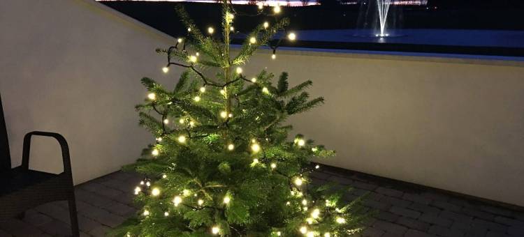 埃利斯民德公寓(Elisesminde)图片