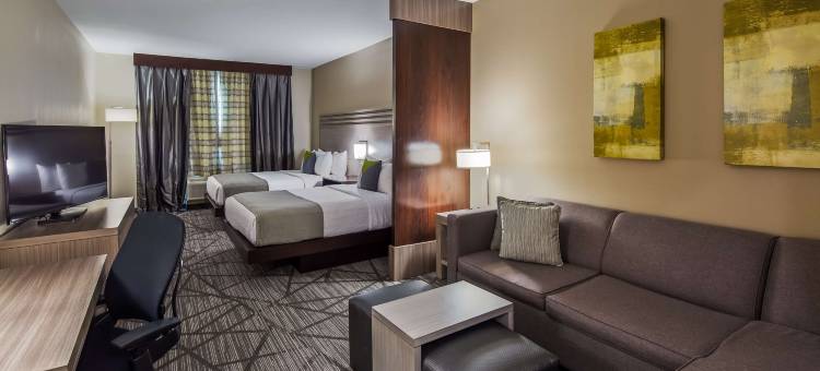 休斯顿 I-45 北 - IAH 舒适套房酒店(Comfort Inn & Suites Houston I-45 North - IAH)图片