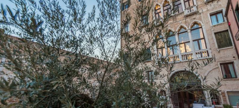 纳尼摩切里哥宫殿酒店(Hotel Nani Mocenigo Palace)图片