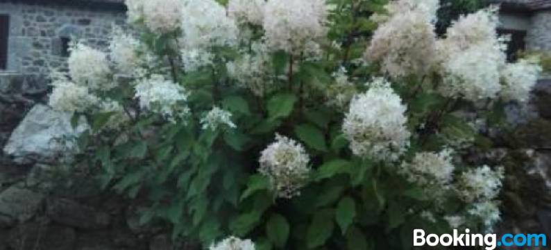 A Casiña de Esther图片