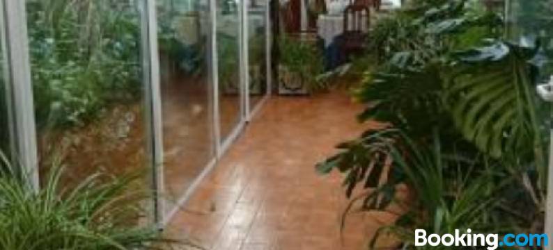 伊维萨美洲海滩酒店(Hotel Iberia Plaza América)图片