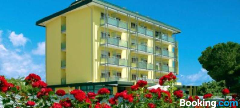 康坎迪亚酒店(Hotel Concordia 3S)图片