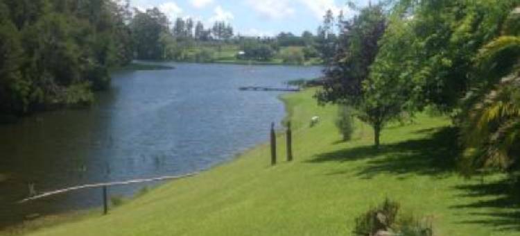 湖屋一室公寓(Lakehouse Studio)图片