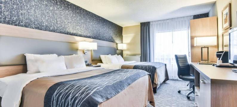 舒适酒店机场(Comfort Inn Aeroport)图片