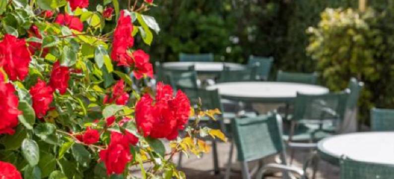 史特芬妮雅酒店(Hotel Stefania)图片