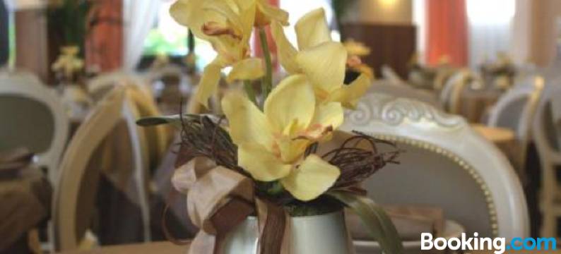 Hotel Donatella Pinarella图片