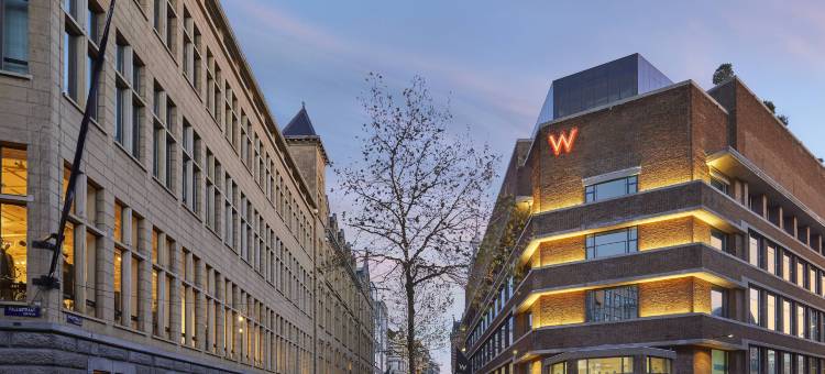 阿姆斯特丹 W 酒店(W Amsterdam)图片