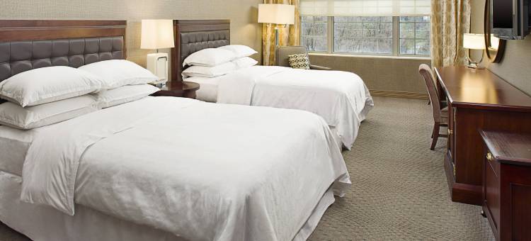 洛克维尔喜来登酒店(Sheraton Rockville)图片