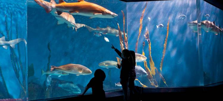 Hotel Stamford图片