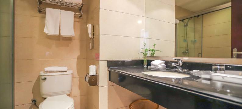 武汉新港国际大酒店(阳逻管委会阳逻开发区地铁站店)图片