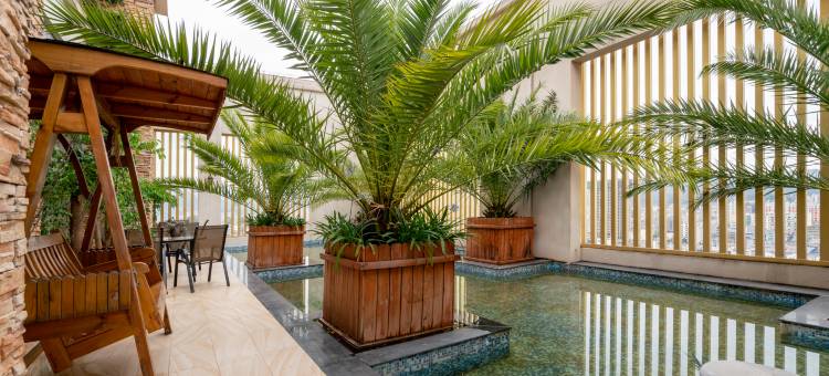 武定狮山映象大酒店图片