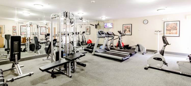 Staybridge Suites 奥斯汀机场 by IHG(Staybridge Suites Austin Airport)图片