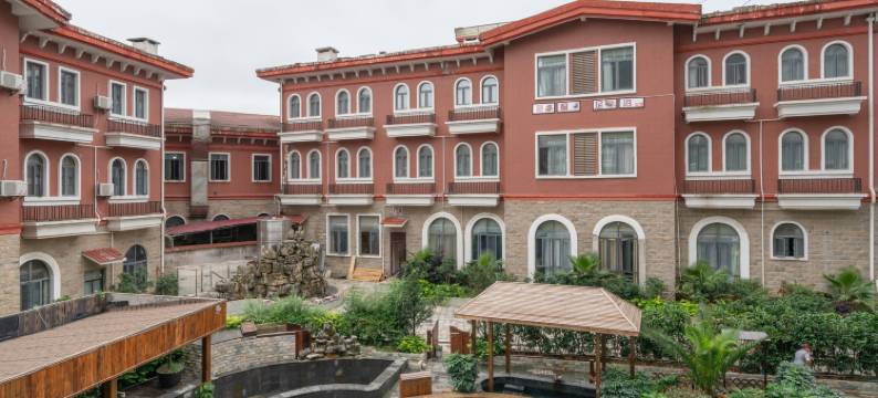 安顺梧桐温泉养生酒店(西秀区安顺西站店)图片