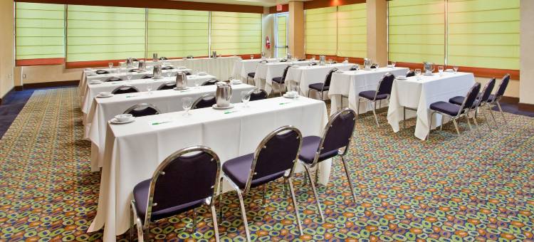 Holiday Inn 马亚圭斯和热带娱乐场(Holiday Inn Mayaguez & Tropical Casino)图片