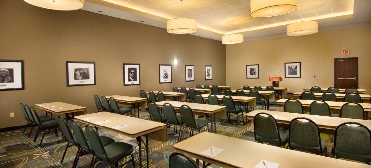 圣安东尼北-石橡树德鲁里广场酒店(Drury Plaza Hotel San Antonio North Stone Oak)图片