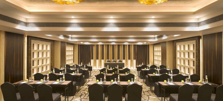 戈勒克布林丽笙酒店(Radisson Blu Gorakhpur)图片