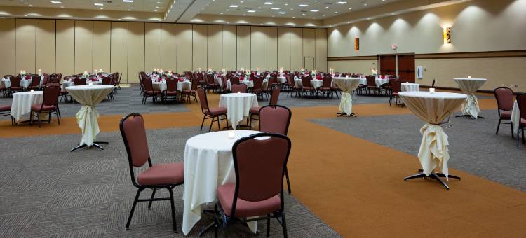 史蒂文斯角假日酒店 - 会议中心(Holiday Inn Stevens Point - Convention Ctr)图片