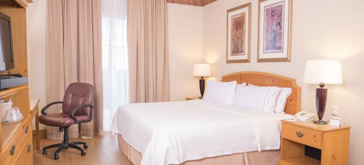 巴希奥希劳机场智选假日酒店(Holiday Inn Express Silao-Aeropuerto Bajio)图片