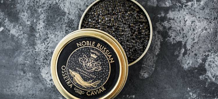 哥本哈根科肯达城堡酒店(Kokkedal Slot Copenhagen)图片