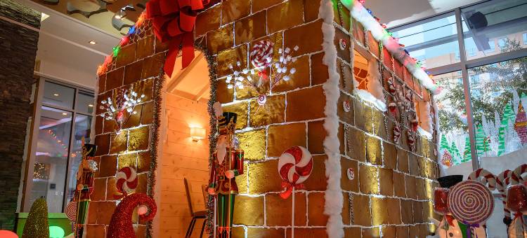 奥斯汀市中心威斯汀酒店(The Westin Austin Downtown)图片