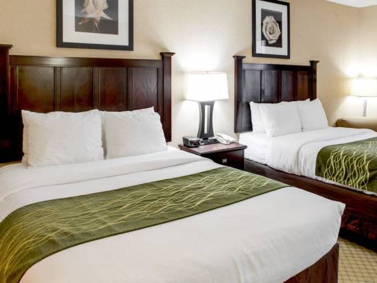 Comfort Inn And Suites Paramus Hotel Reviews And Room Rates