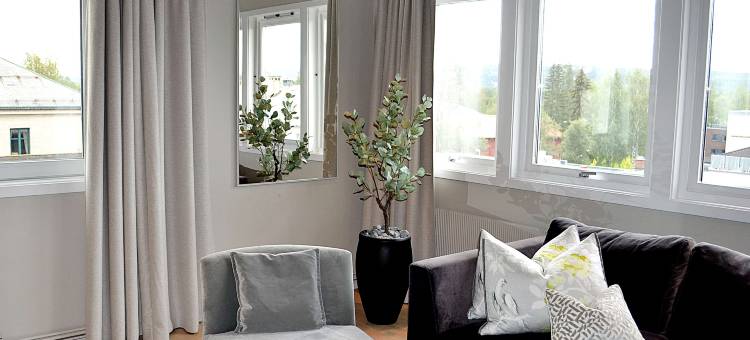 斯堪迪克中心艾尔沃姆酒店(Thon Partner Hotel Central)图片