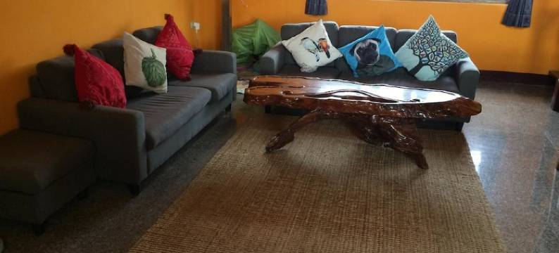 台东青蛙与雉鸡民宿图片